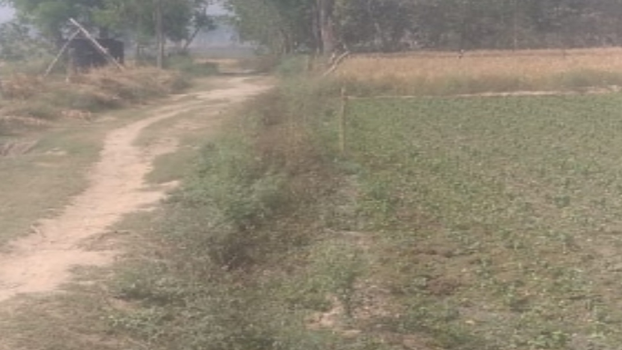 लखनऊ : खेतों की मिट्टी बीमार, नाइट्रोजन, कार्बन और सल्फर की मात्रा मिली कम 