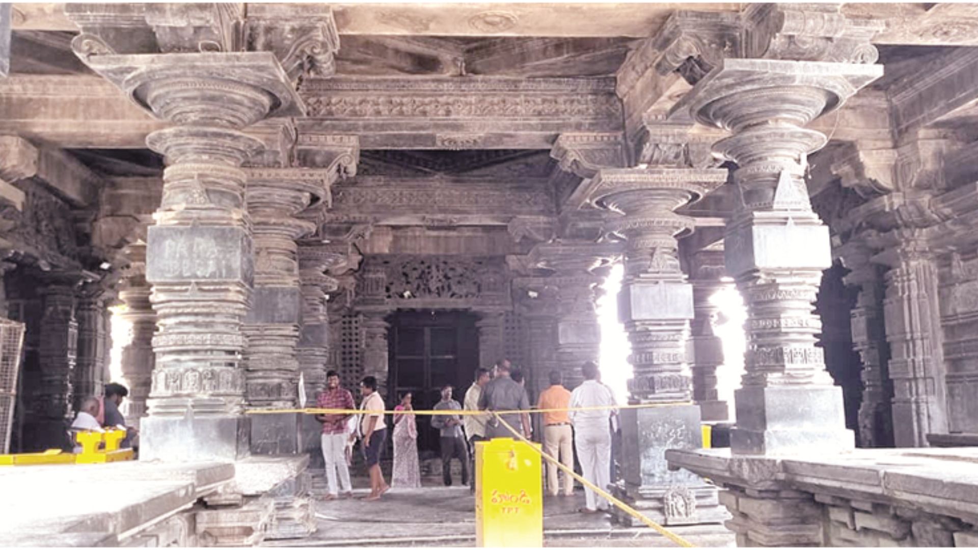 Untitled design (18)