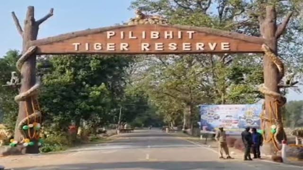 Pilibhit Tiger Reserve : अब सरकारी योजनाओं का लाभ भी दिलाएंगे ‘बाघ मित्र’, नई जिम्मेदारी के लिए मिलेगा विशेष प्रशिक्षण Pilibhit Tiger Reserve : अब सरकारी योजनाओं का लाभ भी दिलाएंगे ‘बाघ मित्र’, नई जिम्मेदारी के लिए मिलेगा विशेष प्रशिक्षण