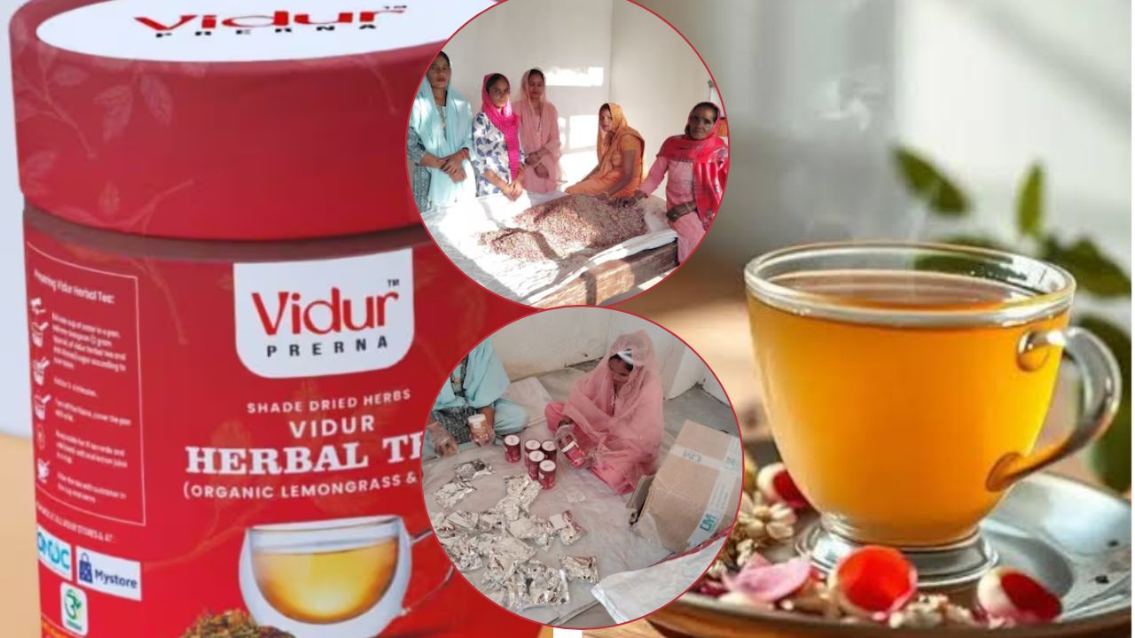गांव से ग्लोबल मार्केट तक सफर, बिजनौर की महिलाओं की ‘विदुर हर्बल टी’ ने बनाई विदेशों में पहचान गांव से ग्लोबल मार्केट तक सफर, बिजनौर की महिलाओं की ‘विदुर हर्बल टी’ ने बनाई विदेशों में पहचान