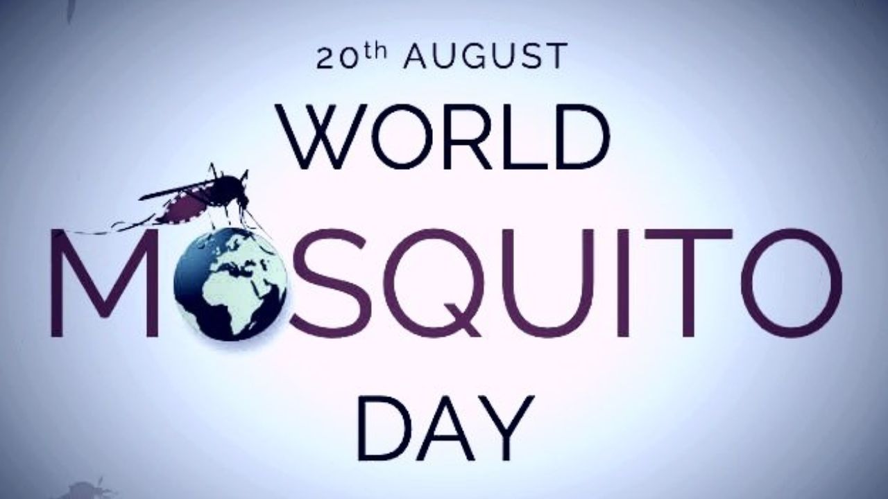 World Mosquito Day :  डेंगू से आगे निकला मलेरिया, आठ साल के आंकड़ों में 125% ज्यादा मामले