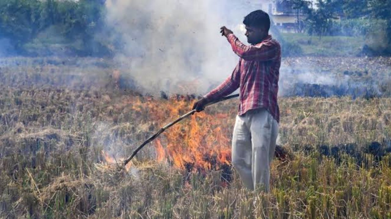 पराली जलने को लेकर CM योगी सख्त, NCR में बढ़ते वायु प्रदूषण के बीच अधिकारियों को निर्देश; एक भी घटना सामने आने पर होगा एक्शन 
