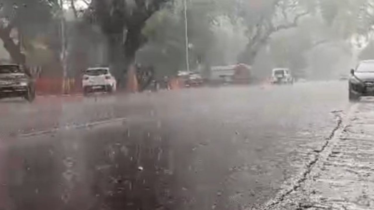 Prayagraj News: लगातार बारिश से संगम नगरी का तापमान गिरा, निचले इलाकों में पानी भरने से लोगों को हो रही भारी दिक्कते Prayagraj News: लगातार बारिश से संगम नगरी का तापमान गिरा, निचले इलाकों में पानी भरने से लोगों को हो रही भारी दिक्कते