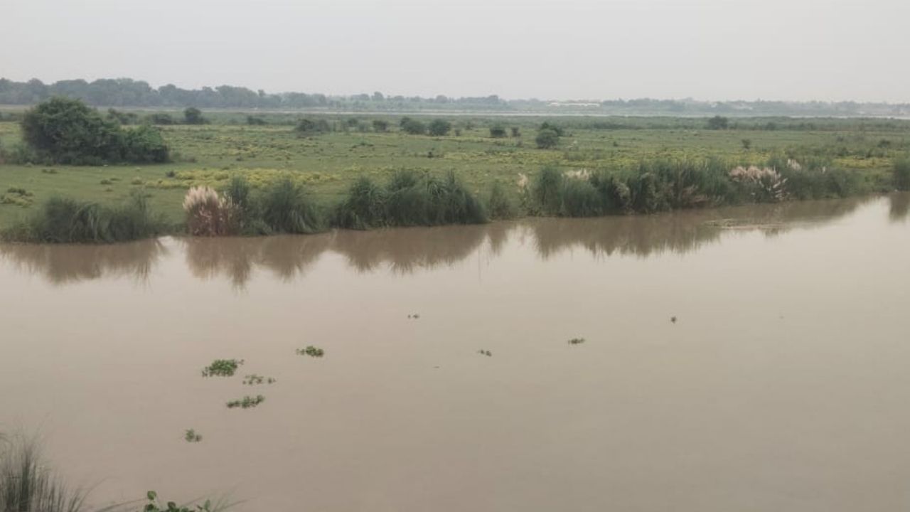 RaeBareli news : उफान पर गंगा, खतरे से 21 सेंमी ऊपर जलस्तर; धान की फसलें जलमग्न RaeBareli news : उफान पर गंगा, खतरे से 21 सेंमी ऊपर जलस्तर; धान की फसलें जलमग्न