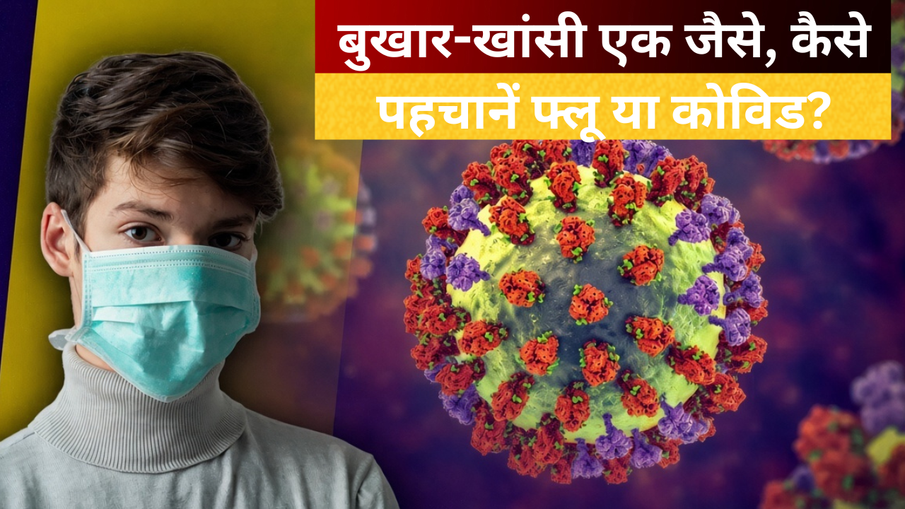 H1N1 और कोविड का बढ़ा खतरा? तेज बुखार में न करें लापरवाही, जानें किसे सबसे ज्यादा सावधानी की जरूरत H1N1 और कोविड का बढ़ा खतरा? तेज बुखार में न करें लापरवाही, जानें किसे सबसे ज्यादा सावधानी की जरूरत