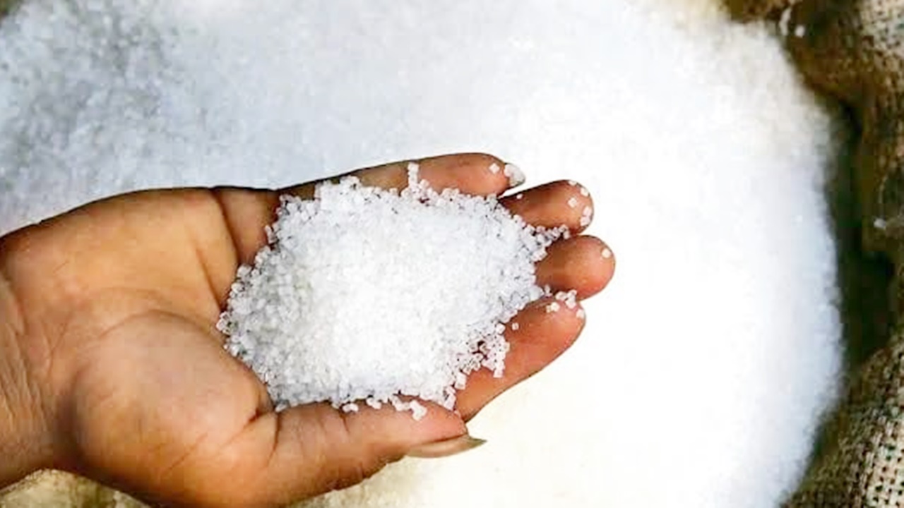Sugar Price Hike : रक्षाबंधन पर महंगी हो सकती है मिठाई, चीनी के बढ़ते दामों से आम आदमी परेशान Sugar Price Hike : रक्षाबंधन पर महंगी हो सकती है मिठाई, चीनी के बढ़ते दामों से आम आदमी परेशान