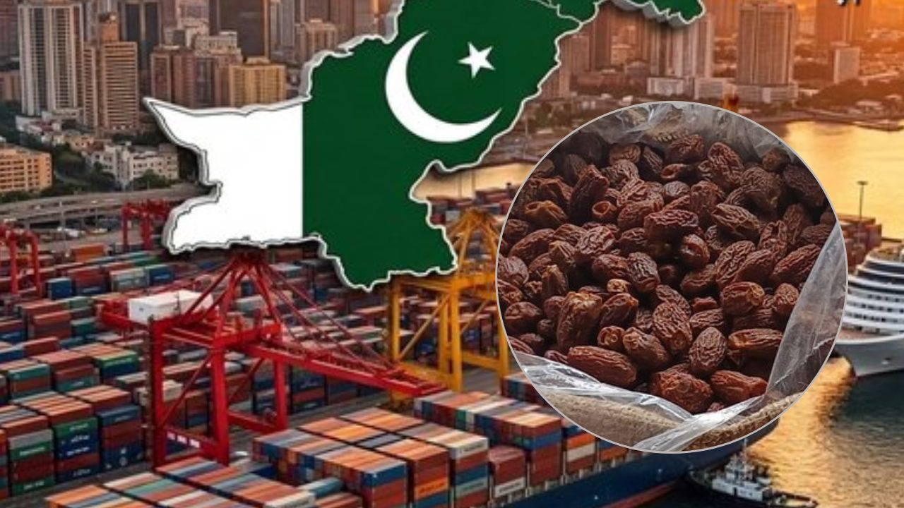 ‘UAE लेबल, पाकिस्तानी माल’, कांडला पोर्ट पर पकड़ा गया 3 करोड़ का छुहारा ‘UAE लेबल, पाकिस्तानी माल’, कांडला पोर्ट पर पकड़ा गया 3 करोड़ का छुहारा