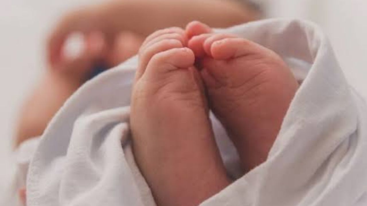 Sitapur News: एक साथ चार बच्चों की सफल डिलीवरी कराकर CHC रेउसा में मना जश्न, महिला और बच्चे स्वस्थ Sitapur News: एक साथ चार बच्चों की सफल डिलीवरी कराकर CHC रेउसा में मना जश्न, महिला और बच्चे स्वस्थ