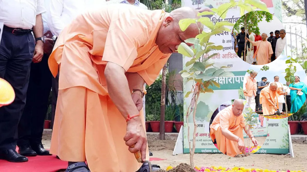 CM Yogi on Teachers Day: शिक्षकों के सम्मान में आज सभी वन प्रभाग लगाएंगे ‘एक पेड़ गुरु के नाम’, शिक्षक दिवस पर प्रदेशभर में होगा पौधरोपण CM Yogi on Teachers Day: शिक्षकों के सम्मान में आज सभी वन प्रभाग लगाएंगे ‘एक पेड़ गुरु के नाम’, शिक्षक दिवस पर प्रदेशभर में होगा पौधरोपण
