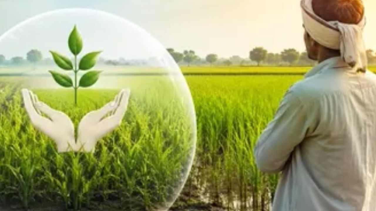 ​योगी सरकार ने दी किसानों के लिए बड़ी राहत, फसल बीमा की समय सीमा बढ़ी; जानिए नई तारीख 