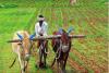 तमिलनाडु ने जैविक कृषि नीति पेश की, रसायन मुक्त खेती को बढ़ावा देने पर जोर