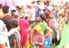 राजस्थान: 5 लाख से ज्यादा परिवारों ने कामधेनु बीमा योजना के लिए कराया रजिस्ट्रेशन 
