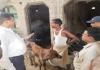 अमृत विचार इम्पैक्ट : बहराइच के पकरा देवरिया गांव में पहुंची पशु चिकित्सक टीम  
