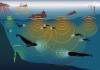 समुद्र के बढ़ते तापमान के कारण समुद्री प्रजातियां ध्रुवों की ओर बढ़ रही हैं : अध्ययन
