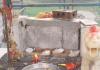 नोएडा : शरारती तत्वों ने मंदिर की मूर्तियों को किया खंडित, जांच शुरू