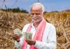 लखनऊ: यूपी में धान की हुई रिकॉर्ड खरीद!, किसानों से खरीदा गया 53.79 लाख मीट्रिक टन धान