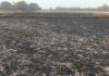 सुलतानपुर में आग का तांडव: कादीपुर में 10 तो दोस्तपुर में पांच बीघा गेहूं की फसल जलकर राख