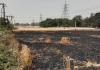 अयोध्या: दो गांव की 8 बीघा गेहूं की फसल जल कर राख