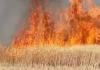 कासगंज: अज्ञात कारणों के चलते खेत में खड़ी फसल में लगी आग, 17 बीघा से अधिक गेहूं जलकर राख