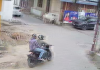 Kanpur Loot: बाइक सवार बदमाशों ने मॉर्निंग वॉक करने निकली महिला की लूटी चेन...वारदात CCTV में कैद