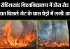 बरेली: रोहिलखंड विश्वविद्यालय में डोरा रोड स्थित पिछले गेट के पास पेड़ों में लगी आग 