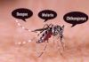 हल्द्वानी: मानसून आने से पहले ही डेंगू, चिकनगुनिया से निपटने की तैयारी