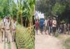 लखीमपुर-खीरी: सहिंजना में तेंदुए का हमला, तीन लोग घायल...क्षेत्र में दहशत