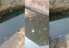बदायूं: गांव में जलभराव, नाले के पानी में तैरने लगी मछलियां...वीडियो वायरल