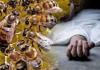 काशीपुर: बाइक सवार युवक को मधुमक्खियों के झुंड ने बनाया शिकार, युवक की मौत