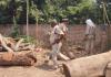 Unnao News: वन विभाग की टीम ने धर्मकांटा से पकड़ी एक ट्रक प्रतिबंधित लकड़ी...पुलिस ने FIR दर्ज कर जांच शुरू की 