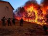 कैलिफोर्निया में जंगल में लगी आग बुझाने की कोशिश में दमकलकर्मी की मौत