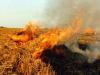 बरेली: खेत में जली पराली तो लेखपाल और राजस्व निरीक्षक पर भी होगी कार्रवाई