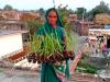 बरेली: कृषि क्षेत्र में महिला किसानों को आत्मनिर्भर बना रहा गन्ना विभाग