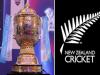 IPL 2021: अपने खिलाड़ियों को पूरे आईपीएल में खेलने से नहीं रोकेगा न्यूजीलैंड क्रिकेट