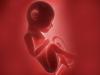 गर्भपात की अवधि बढ़ाने वाले विधेयक को संसद की मंजूरी