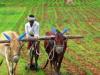 बरेली: खुद की कंपनी बनाकर आय बढ़ा सकेंगे किसान