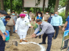 रामपुर: राज्यमंत्री ने रोपा सहजन का पौधा, पौधारोपण की अपील