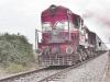 सात माह बाद टनकपुर से त्रिवेणी एक्सप्रेस रेल सेवा का संचालन शुरू