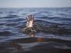 बदायूं: गंगा में नहाने पहुंचे दो युवक, गहरे पानी में पहुंचे और फिर… मौत