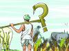 बरेली: एमएसपी में वृद्धि से नाखुश किसान बोले- सरकार ने किया मजाक