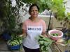 बरेली: किचन गार्डन में सब्जियों का उत्पादन कर थाली में पोषण परोस रहीं गृहणियां