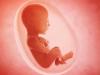 महिला ने अदालत से मांगी 24 हफ्तों से अधिक समय के भ्रूण को खत्म करने की अनुमति, सुनाया ये फैसला