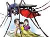 लखीमपुर-खीरी: बेकाबू होता जा रहा डेंगू, तीन और मरीज मिले