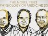 Nobel Prize 2021: जापान, जर्मनी और इटली के इन 3 वैज्ञानिकों को मिलेगा भौतिकी नोबेल पुरस्कार, जानें इनका योगदान