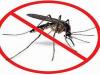 मुरादाबाद : डेंगू के प्रकोप के मद्देनजर फिर चला अभियान, एंटी लार्वा का छिड़काव करने के साथ ही की फॉगिंग