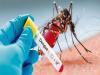 पीलीभीत : 45 मरीजों की जांच, 14 में मिला डेंगू