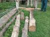 मध्य प्रदेश: एम्बुलेंस में कर रहे थे सागौन की लकड़ी की तस्करी, पहले ग्रामीणों ने पकड़ा, बाद में वन विभाग के हवाले कर दिया।