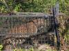नैनीताल: मासूम को मारने के 36 घंटे बाद मादा तेंदुआ पिंजड़े में कैद