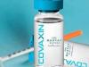 कोविड के खिलाफ सबसे प्रभावी साबित हुई कोवैक्सीन, देती है 63.6 प्रतिशत सुरक्षा