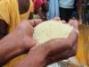 गरीबों को राहत: सरकार ने पांच किलो मुफ्त खाद्यान्न योजना को अगले साल मार्च तक बढ़ाया